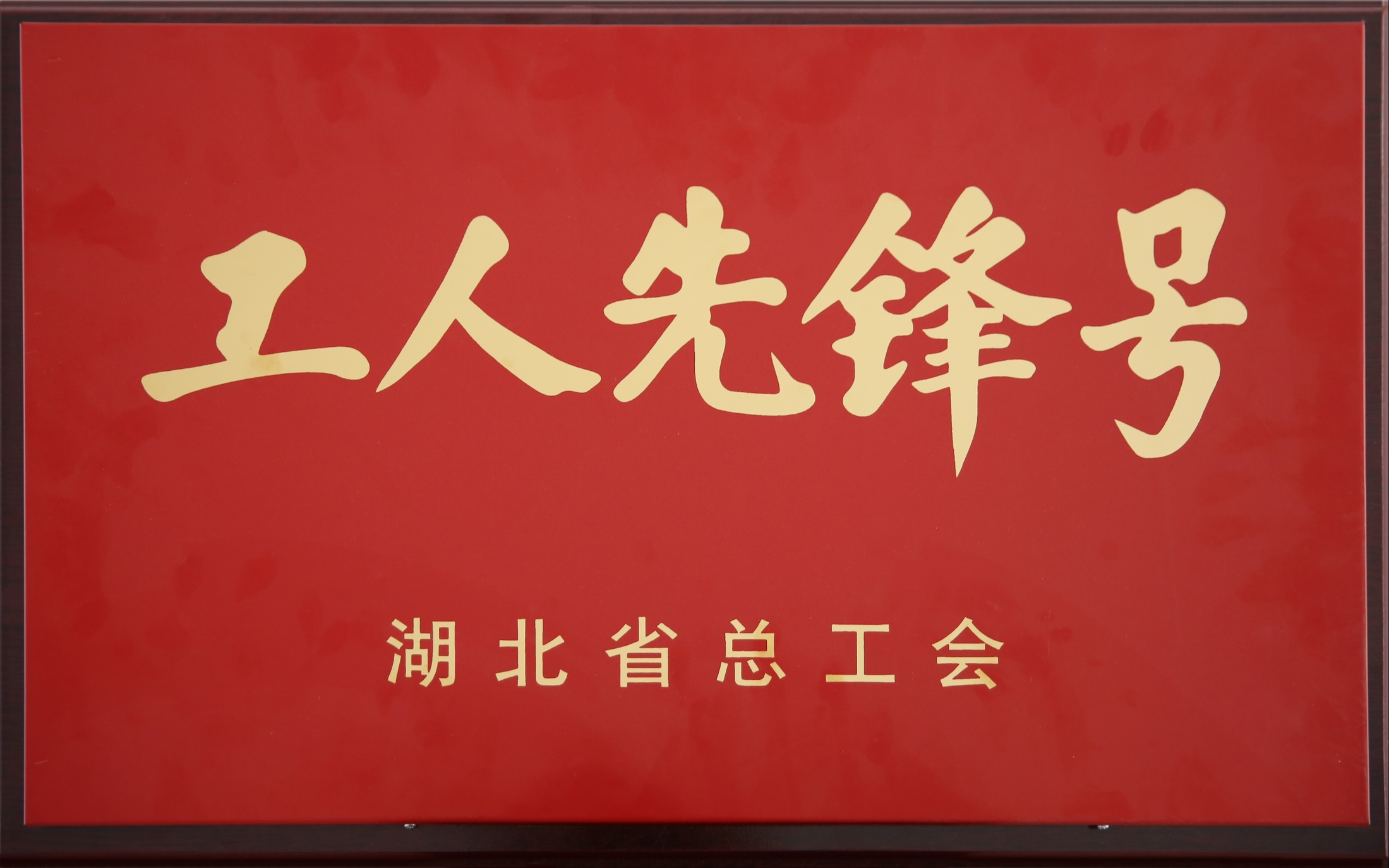 省部級：新冠（guàn）滅活疫苗研（yán）製團隊（duì）